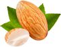 Almond