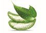Aloe vera & green tea